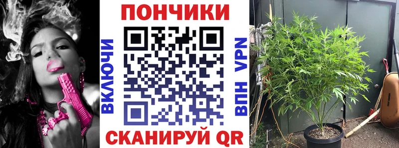 Купить где  Алупка  Канабис LSD WEED 